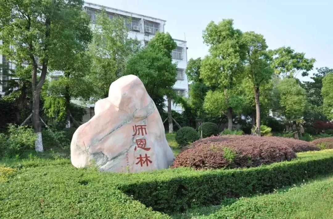 河南信阳2020高考再创佳绩，信阳高中高分喜人，县中成绩相当优异