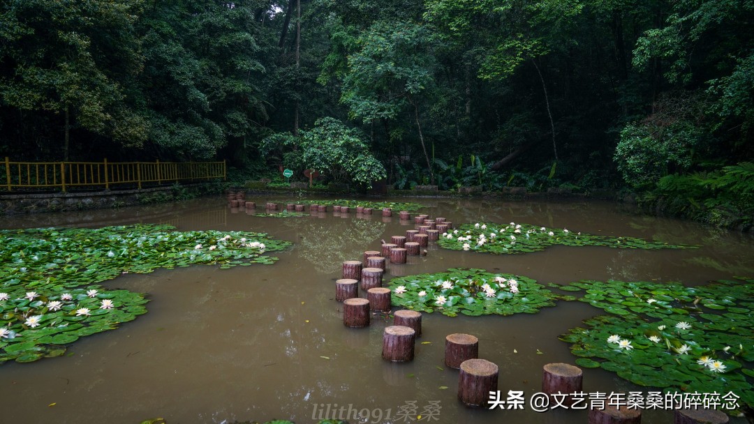 古村落、原始森林、火山岩，宝藏旅行地福建三明两日一夜打卡记