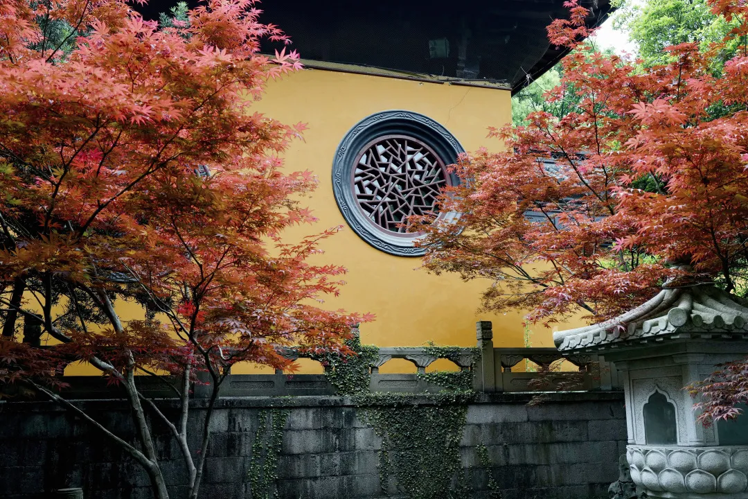 杭州终极拜佛攻略｜走这条路，一天解锁灵隐法喜7大宝藏寺庙