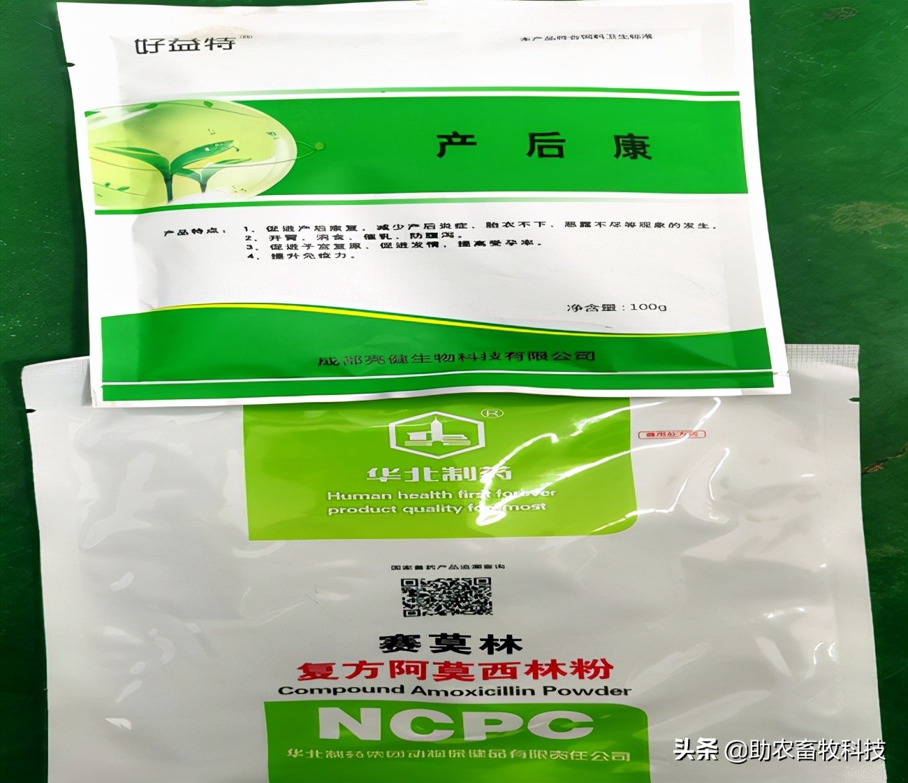猪场10种常见疾病的症状以及用药防治方案