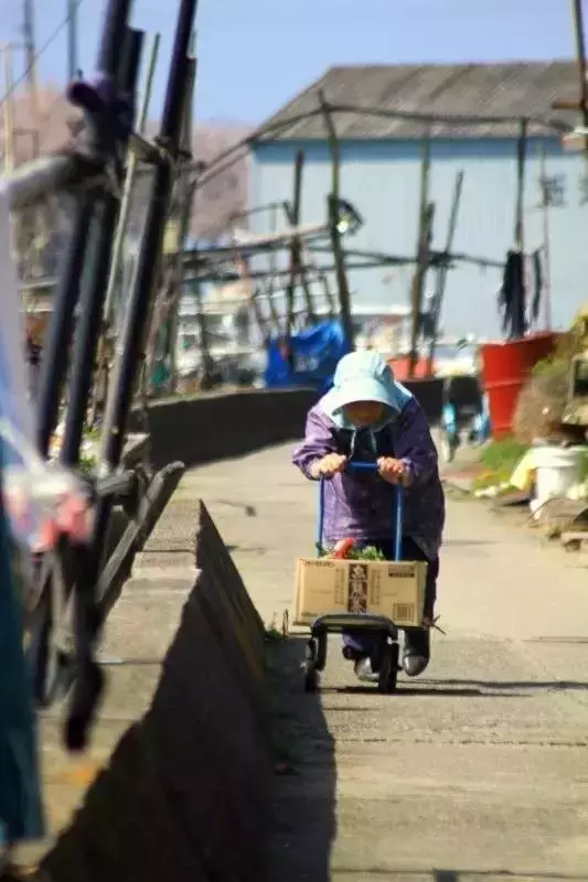日本孤岛上的公立学校，仅11名学生，却告诉我们什么是真正的教育