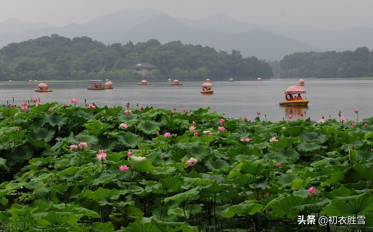 晏几道唯美早秋情词四首，金风玉露初凉夜，一枕江风梦不圆