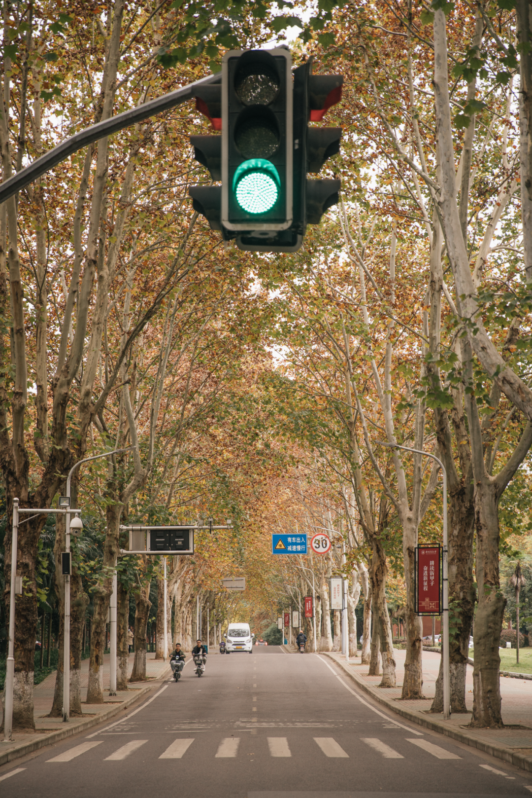 又是全国第一！华中农业大学，全体武汉人的骄傲