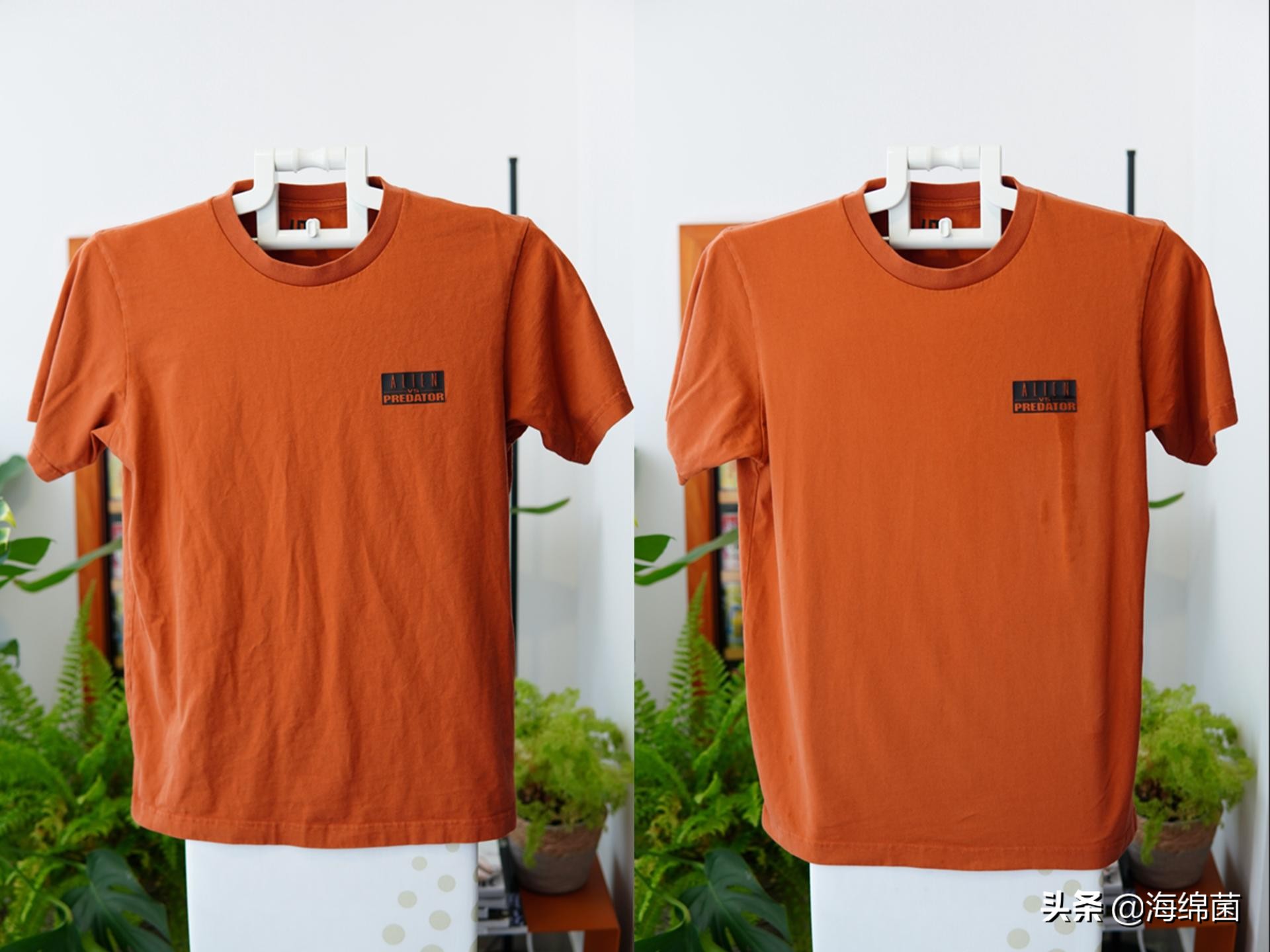 挂烫机能用和好用的区别究竟在哪里？卓力BG538使用评测