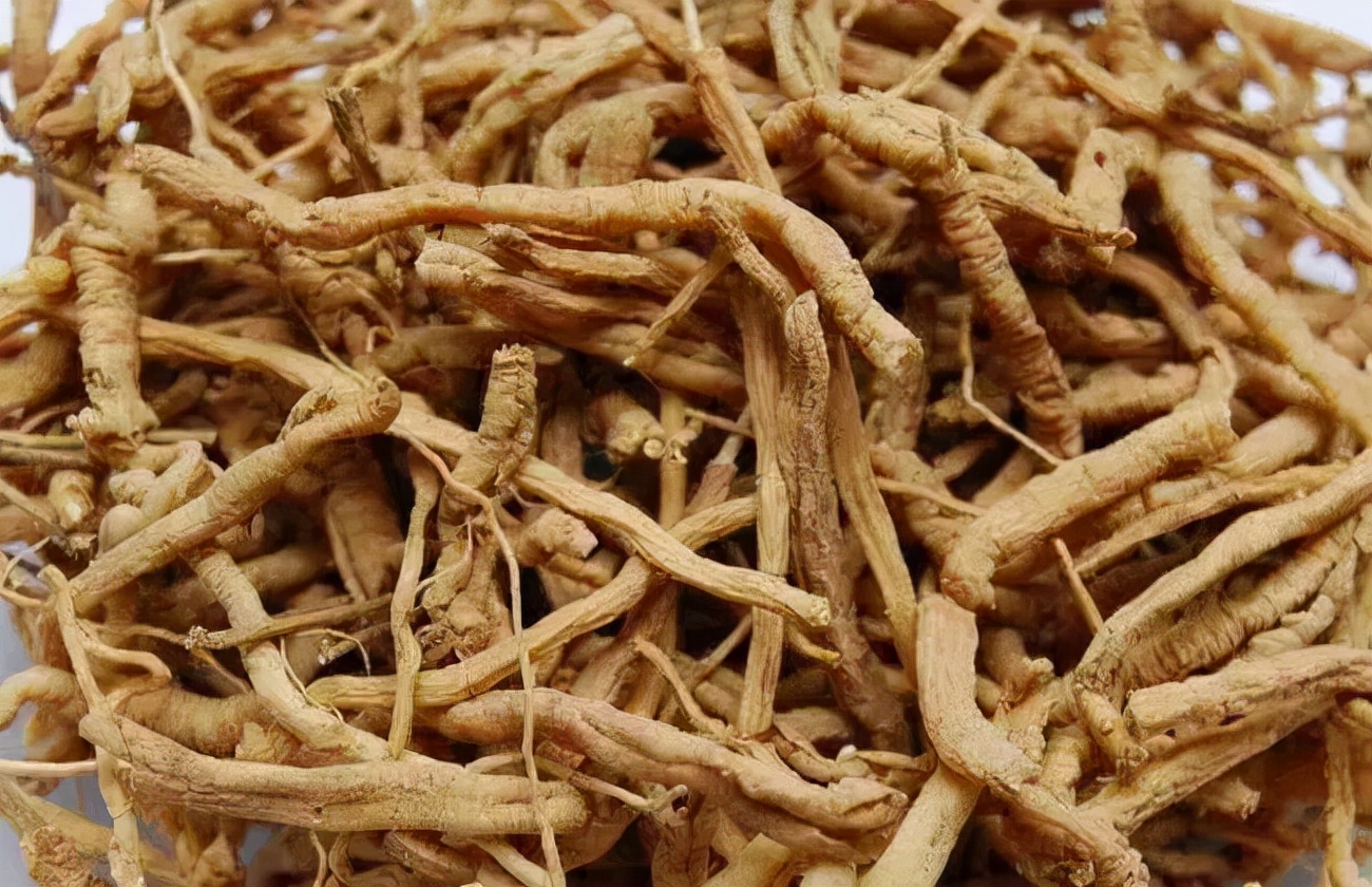 黄芩的作用与功效(黄芩的作用与功效夏)-情感知识库-动动脑