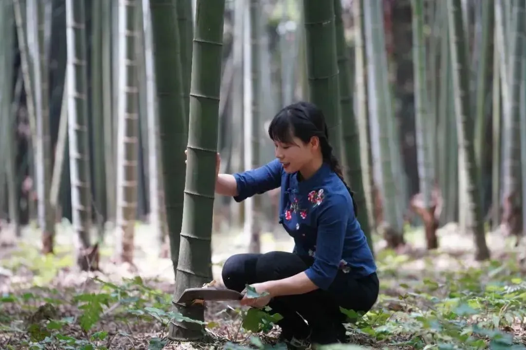 四川打工妹回家种地逆袭成千万大V,她把家乡的山货送上每张餐桌-识物网 - 数字新消费品牌知识门户