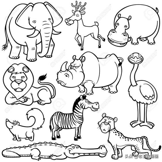 各种小动物的100种画法,简单实用的素材