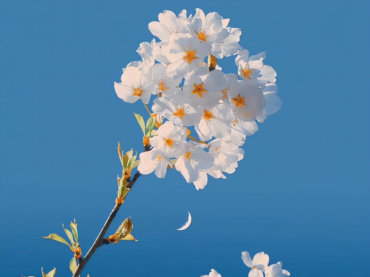 人生百味，随缘，随心，随意（感悟）