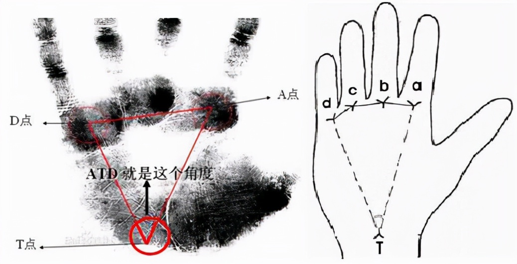 掌纹真的“掌握”人的命运吗