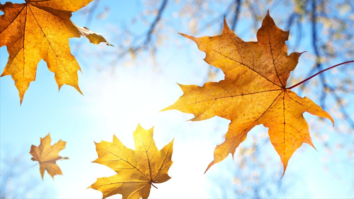 认罪认罚后，该如何保护犯罪嫌疑人、被害人权益？#上海刑事律师