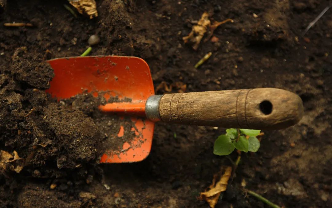 园艺十八般武艺的施展，离不开一套园艺工具