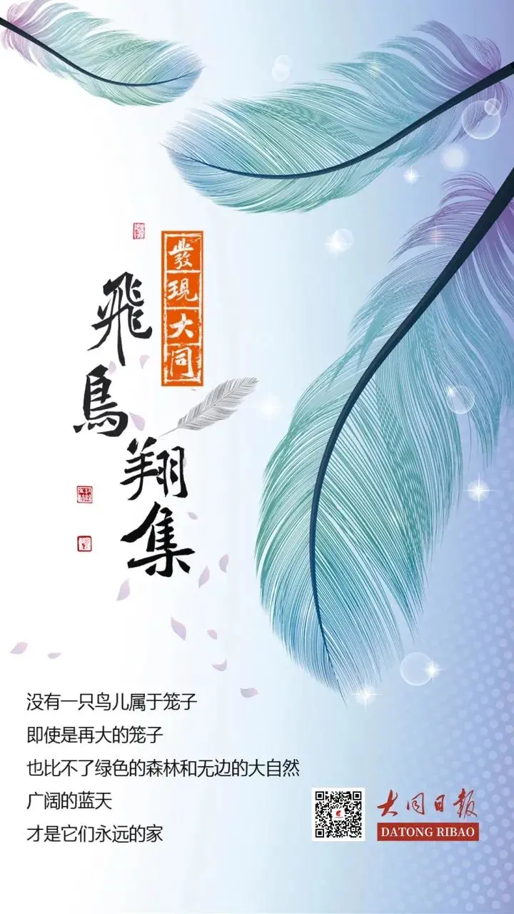 游隼，生物演化史上的速度巅峰，快来了解一下