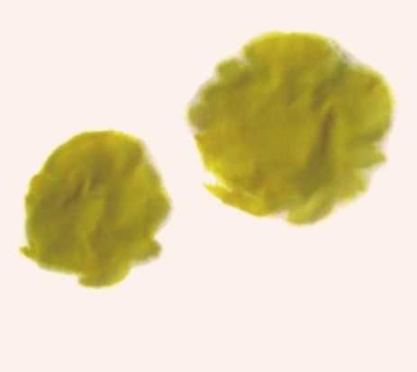 国画知识：不会画菊花？教你5种菊花画法，简单易学，快来临摹吧