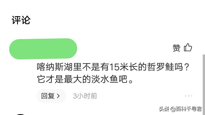 大型哲罗鲑(哲罗鲑可以长到多大？喀纳斯湖里真有10米以上的哲罗鲑吗？)