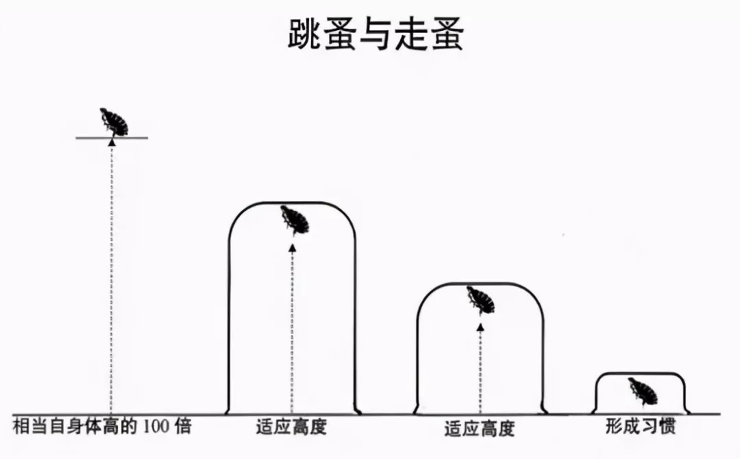 惊人的三大强者定律:螃蟹定律,蘑菇定律,跳蚤定律