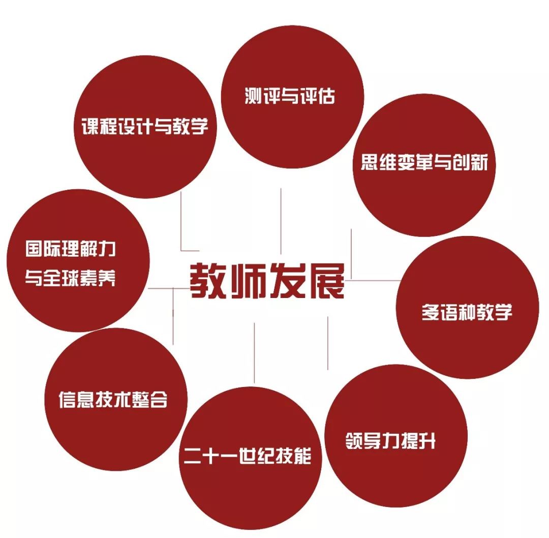 王府学校国际化教师团队：理科不只是数理化