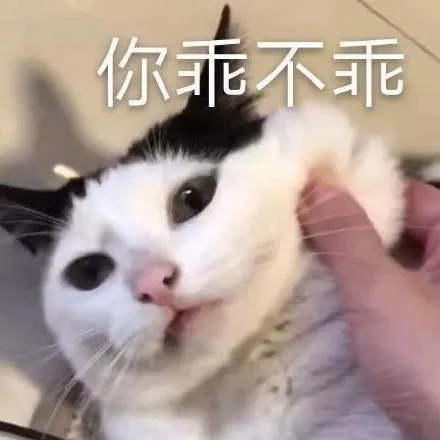 郑州违章查询,