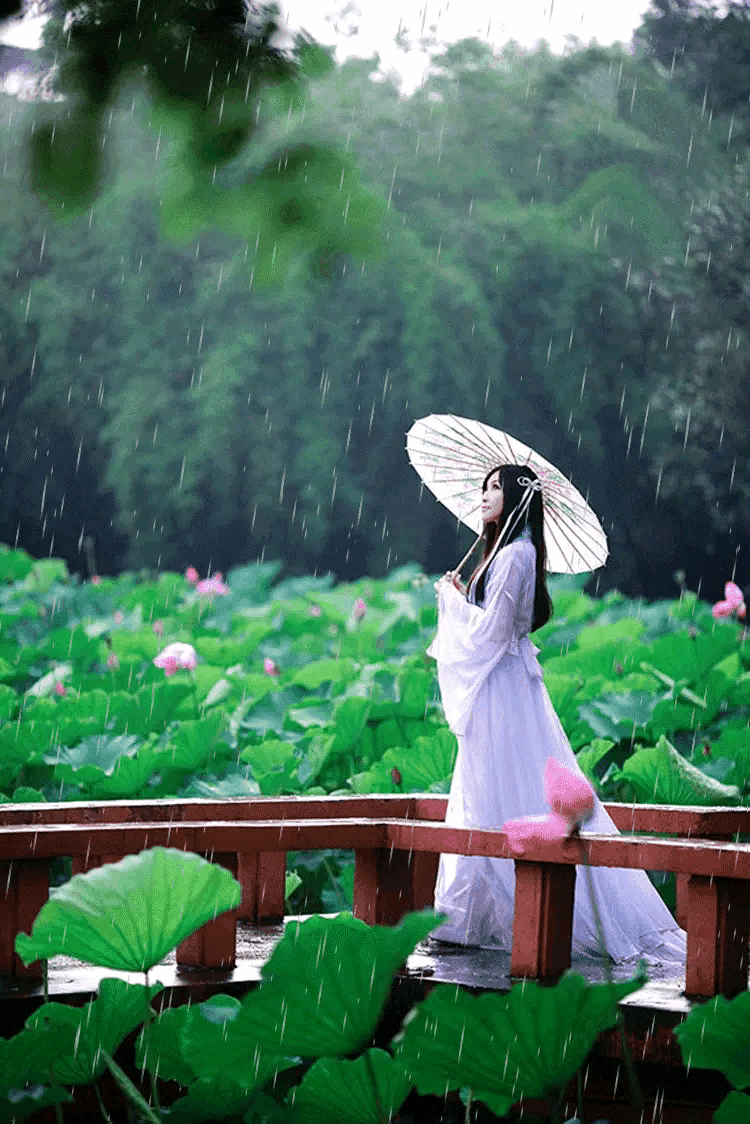 关于水仙女的散文 _晶羽科技