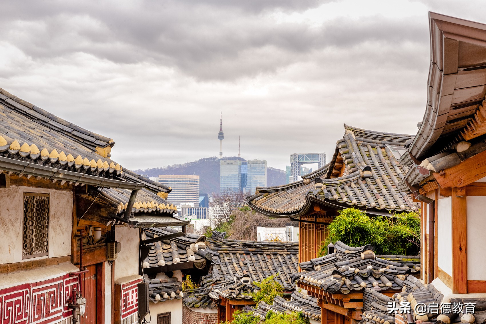 中央大学世界排名（2019年韩国）