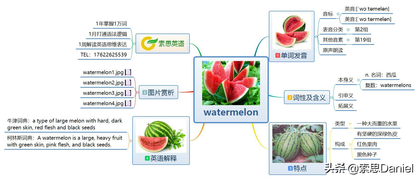 西瓜的单词怎么写图片