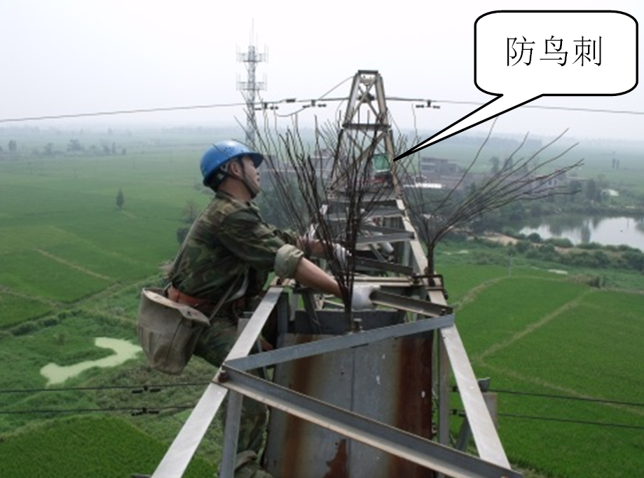 鸟害威胁电网安全，感应电压方法可有效驱鸟