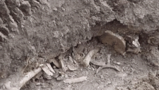 公司女会计喝多了（1963年）