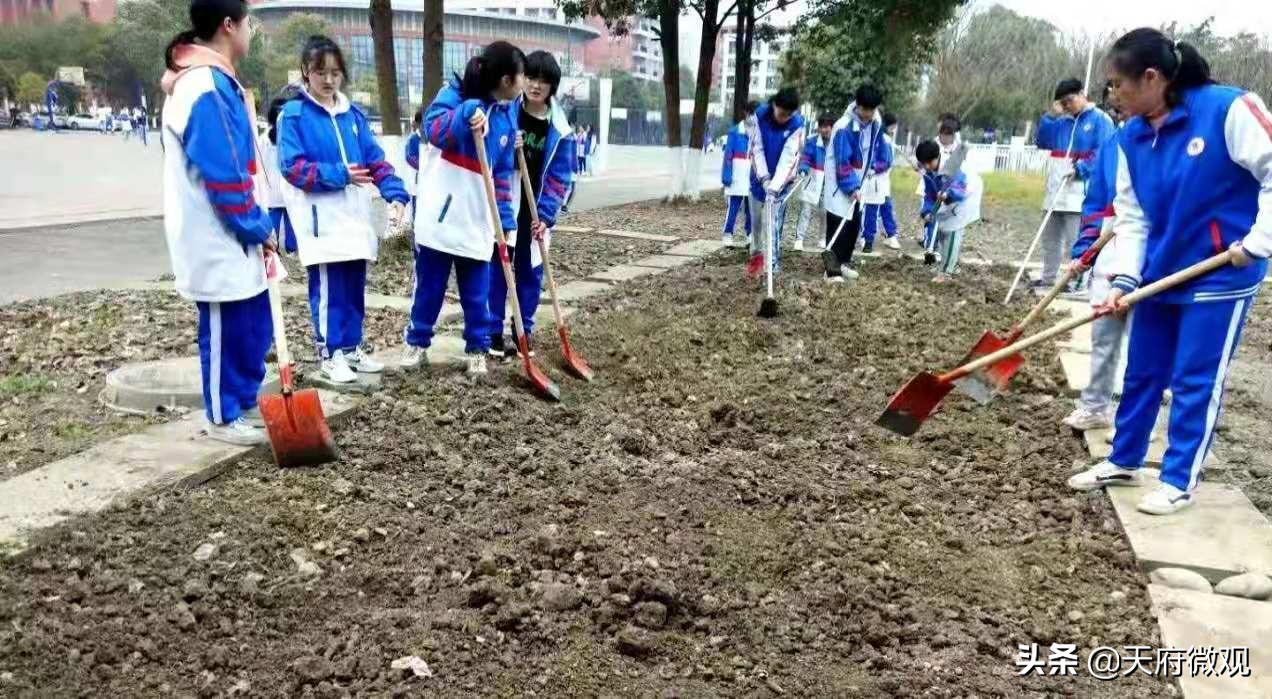 办特色学校·创卓越高中，来看新都香城中学的十年树木和芝兰玉树