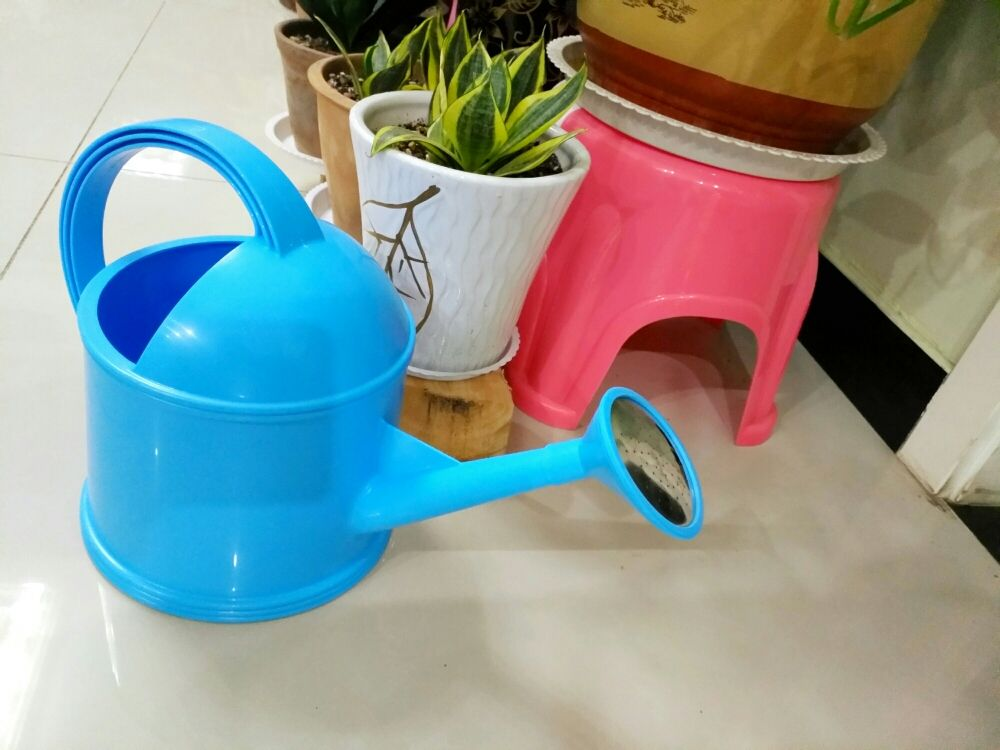 植物生长需要什么（4种养花常备的必需品介绍）