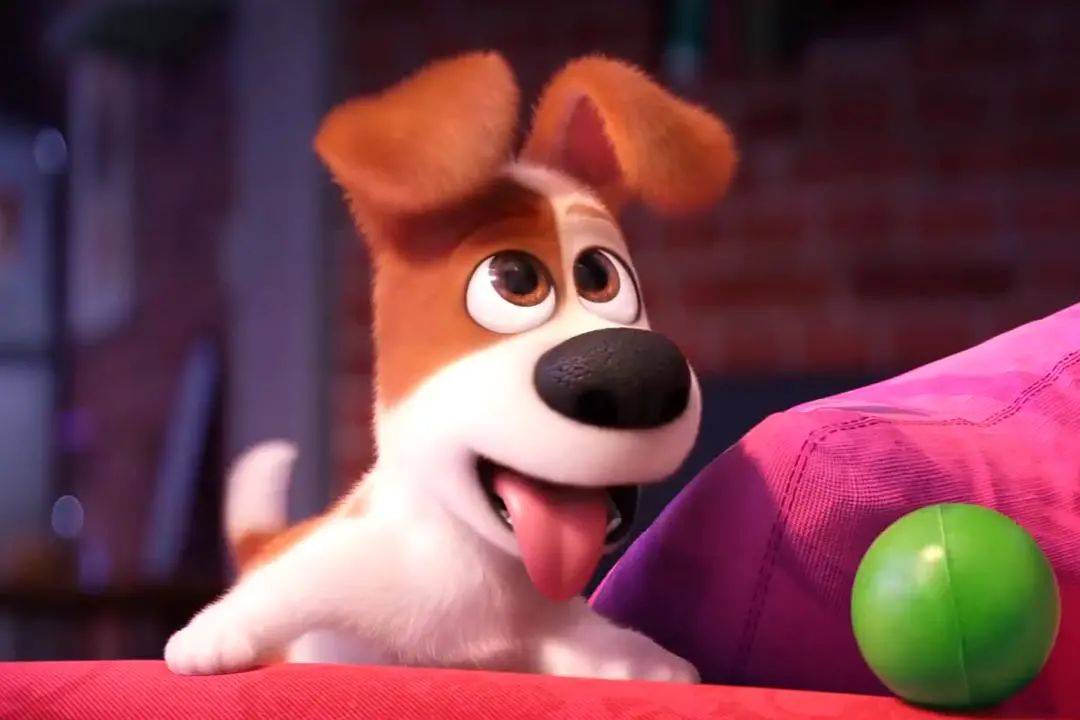 爱宠大机密兔子图片(全程高萌) - 赤虎壹号