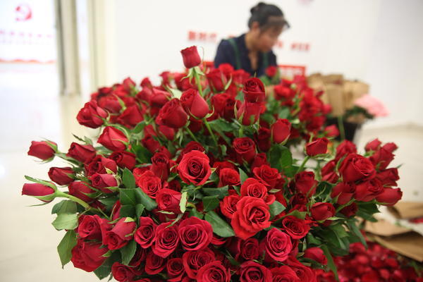 探访郑州七夕花卉市场：玫瑰价格暴涨，有商家却说“不涨价，要增加销量”