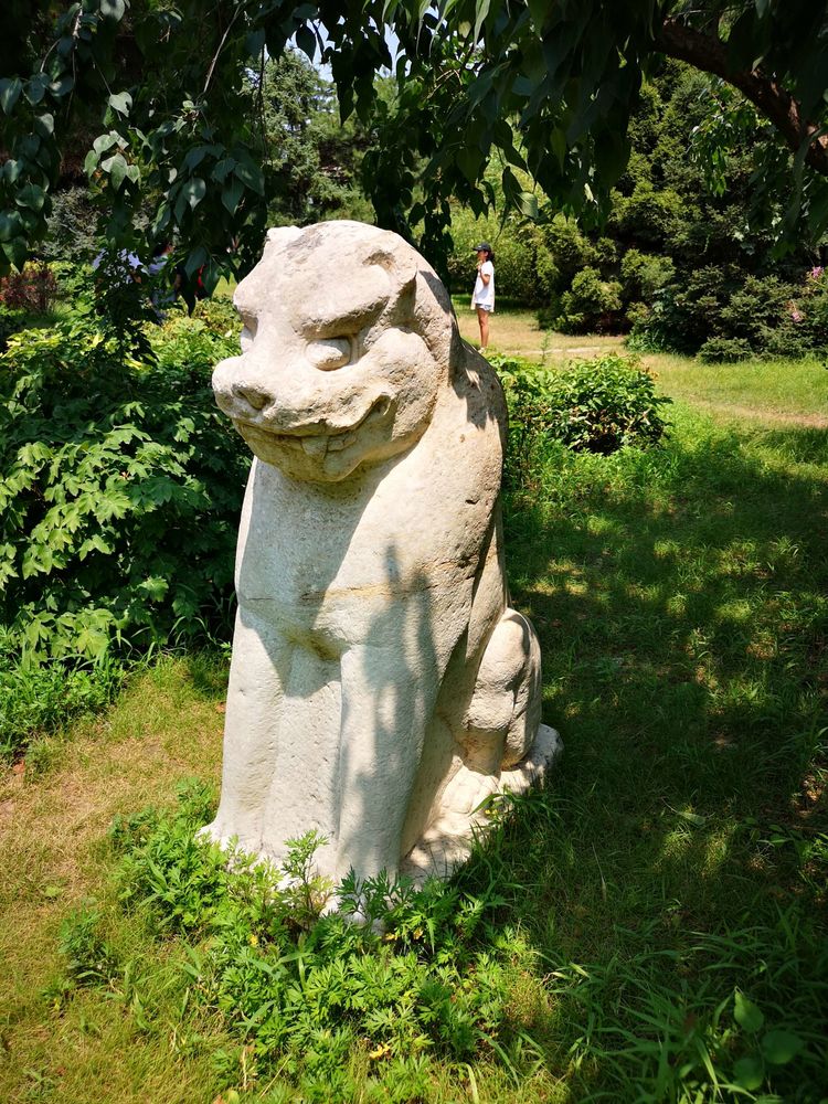 北大印象，漫步北大校园