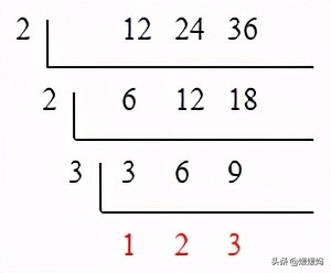 人教版五年级数学下册总复习知识点