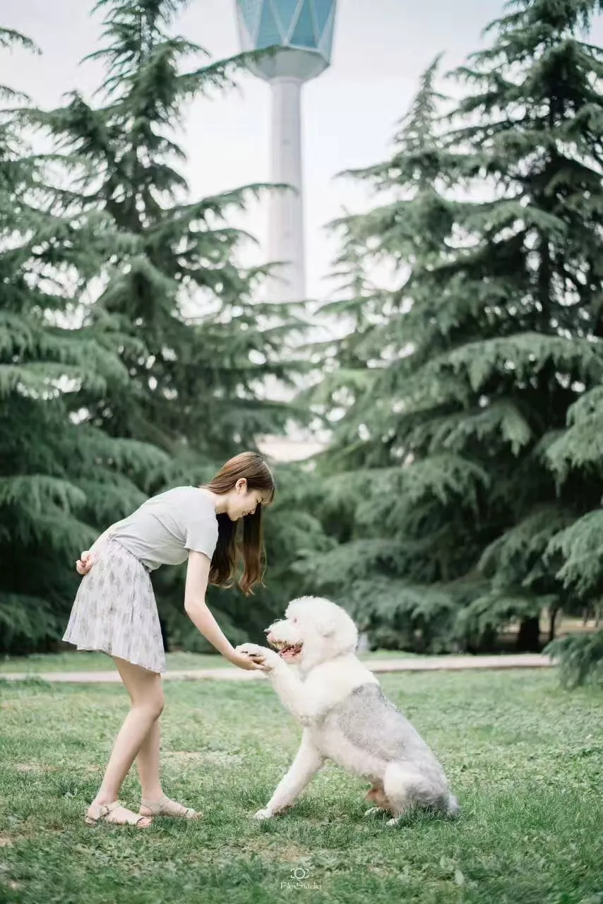盘点西安美女超多的大学！惊艳到流鼻血