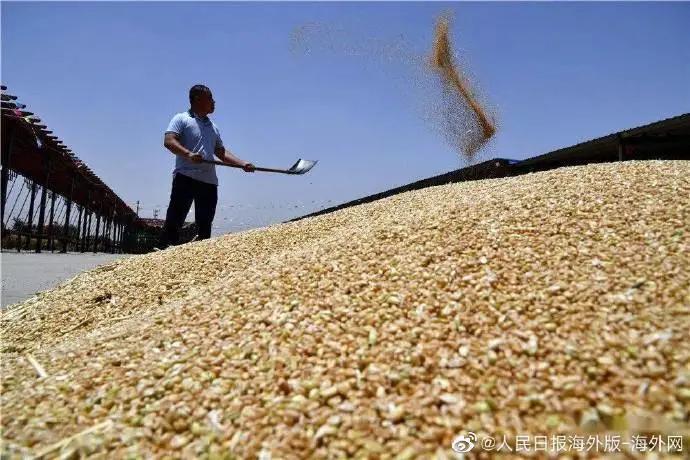 四川高职专科学校食品药品与粮食大类毕业生人数不足1800人