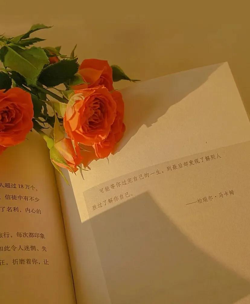 一个人顶级的快乐,是管好自己