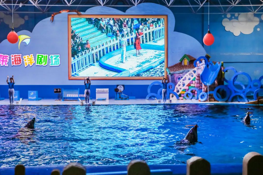 青春不散场，未来皆可期！高考毕业旅行季，我在蓬莱等你！