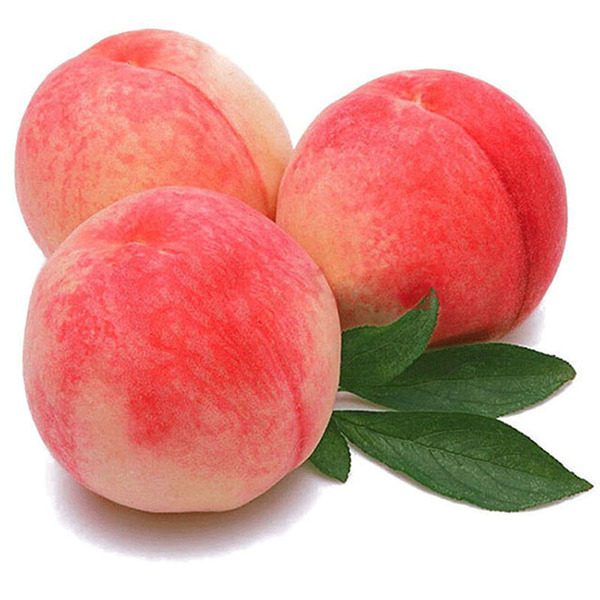 碳酸钠的用途 碳酸钠片的用途-世界十大百科