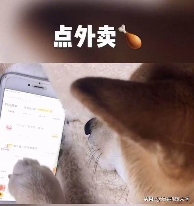 揭秘大学生的真实日常！