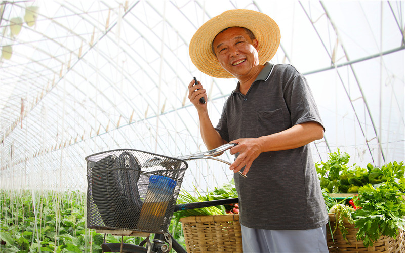 农村有十几亩土地，种植什么经济作物，一年能纯收入10万元以上？