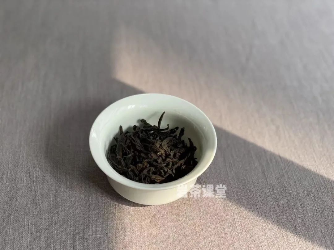 上万元一斤的牛栏坑肉桂，究竟是不是智商税？这些真相你知道吗？