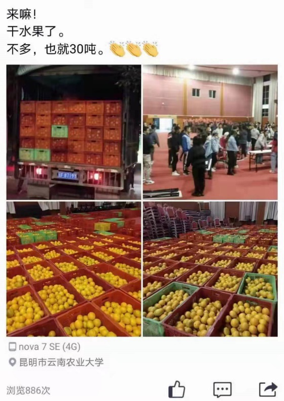 国家级一流！厉害了我的云南农大