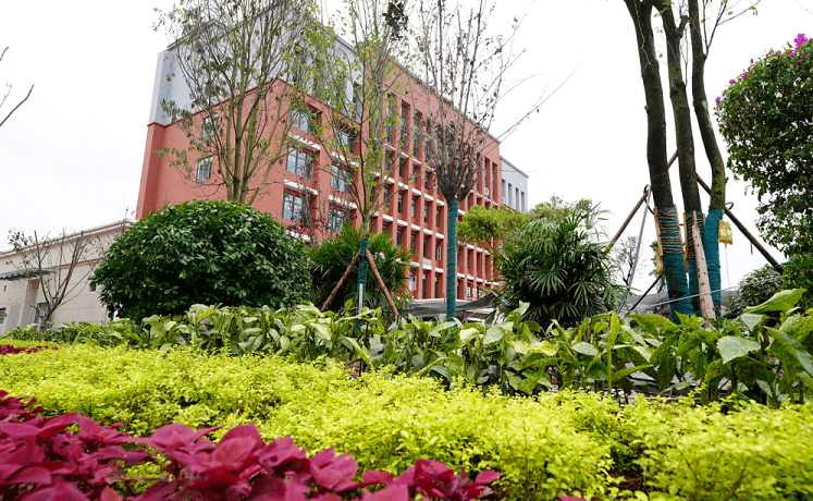 达州市高级中学招生「达州市高级中学招生计划」-爱妻自媒体