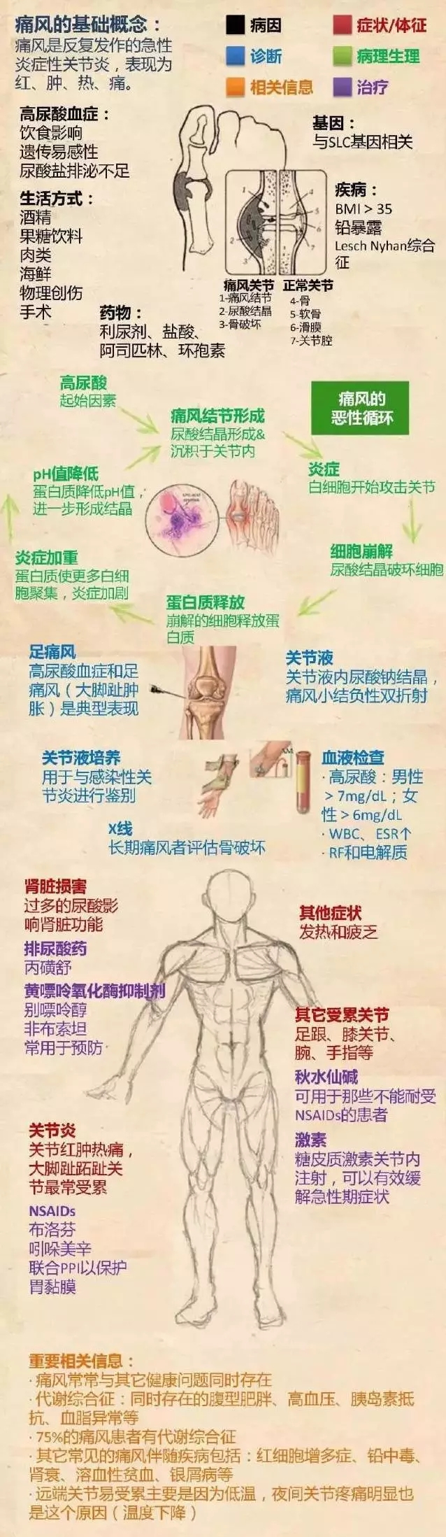 痛起来要人命,"痛风"要如何根治?且听中医说一说 - 多环保
