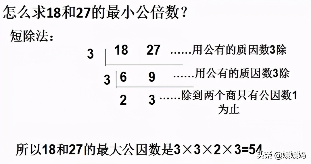 人教版五年级数学下册总复习知识点
