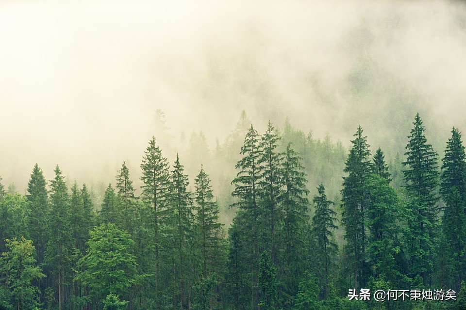 蓬山此去无多路，青鸟殷勤为探看，你知道“青鸟”的典故吗？