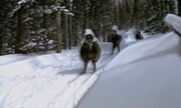 林海雪原电视剧金星版(五个版本《林海雪原》中，1986年林达信版电视剧堪称原汁原味)