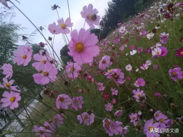 「典藏」余映潮“智慧教研”语录100则