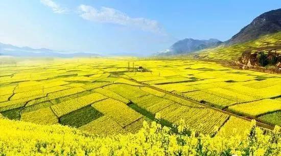 交通事故处理程序规定,交通事故处理程序规定2021