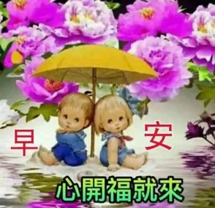 风起时，笑看落花；风停时，淡看天际，早安