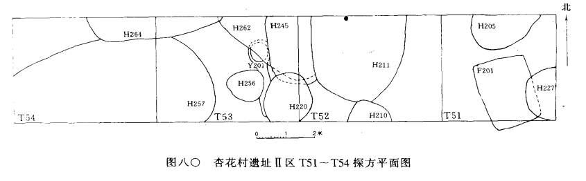 山西省汾阳市杏花村发现仰韶文化遗址